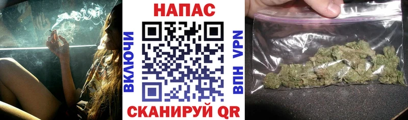 Канабис планчик  хочу наркоту  Суворов 
